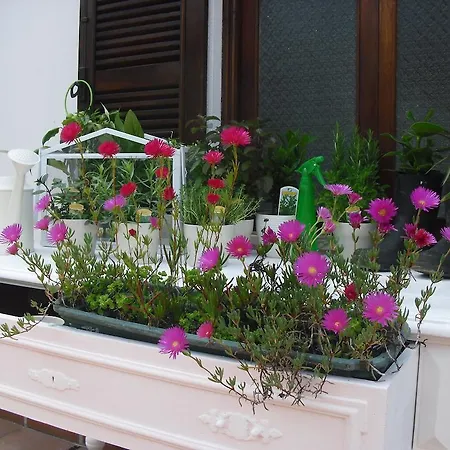 Geres ホステル ポルト