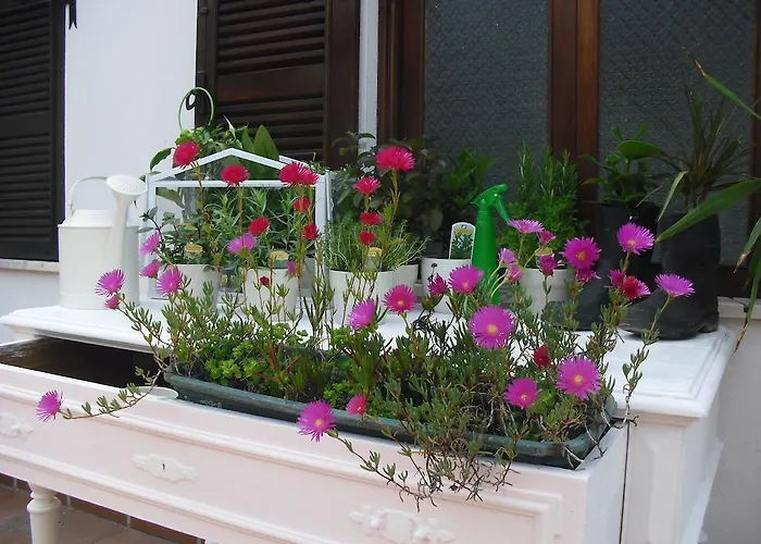 Geres Albergue Porto