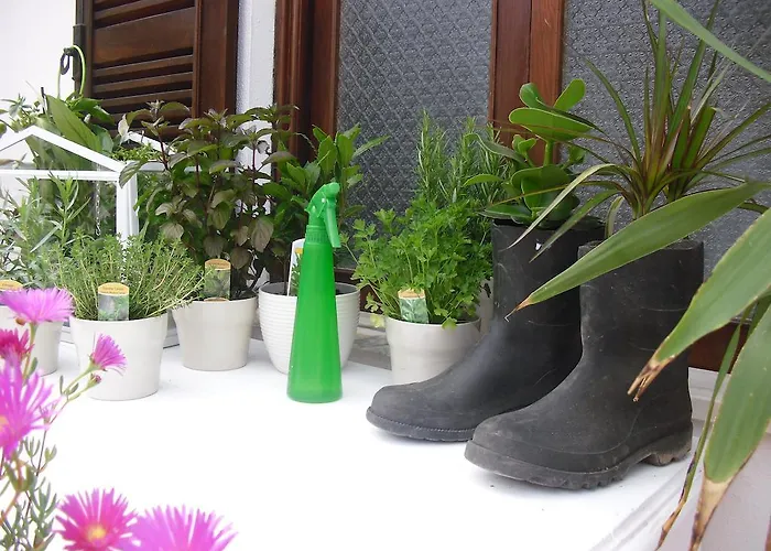 Auberge de jeunesse Geres